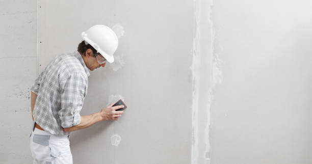 Best Basement Mold Removal  in Crawfordville, FL