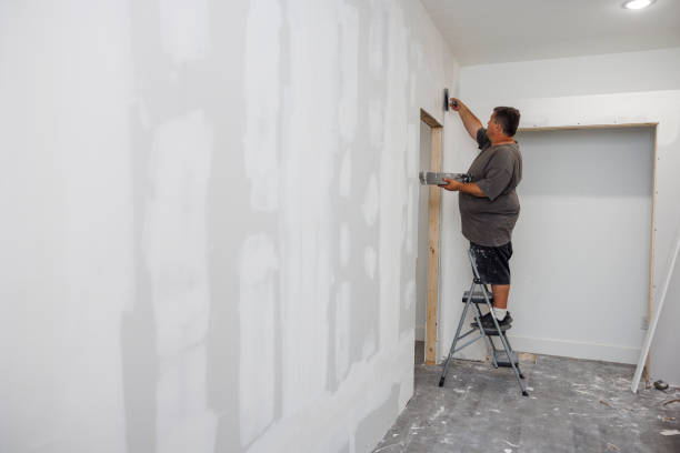 Best Environmental Consulting for Mold Prevention  in Crawfordville, FL