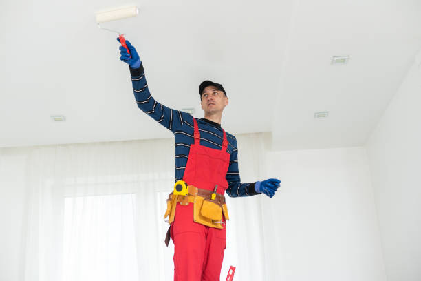 Best Mold Removal for HVAC Installations  in Crawfordville, FL